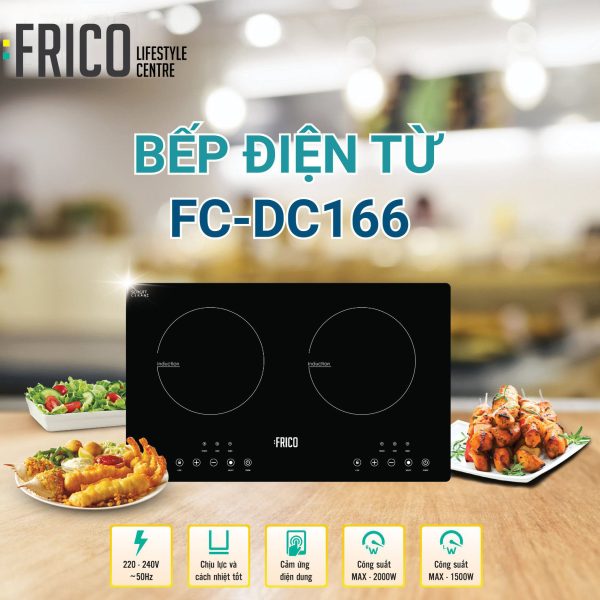 Bep Tu Frico Fc Dc166 2 Vung Nau (1)