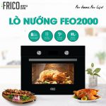 Lo Nuong Frico Feo2000 (1)